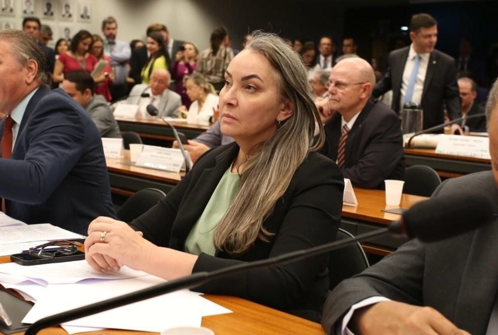 Deputada Daniela Reinehr cobra, de ministro da Fazenda, soluções para crédito no campo