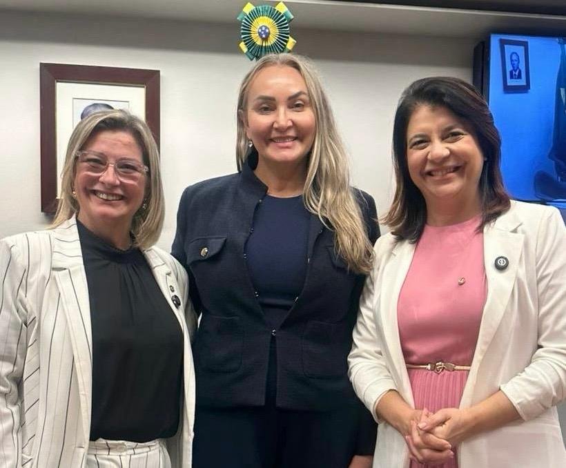 Sob comando de Daniela, CTUR aprova novas orientações para tornar análise de projetos mais ágil