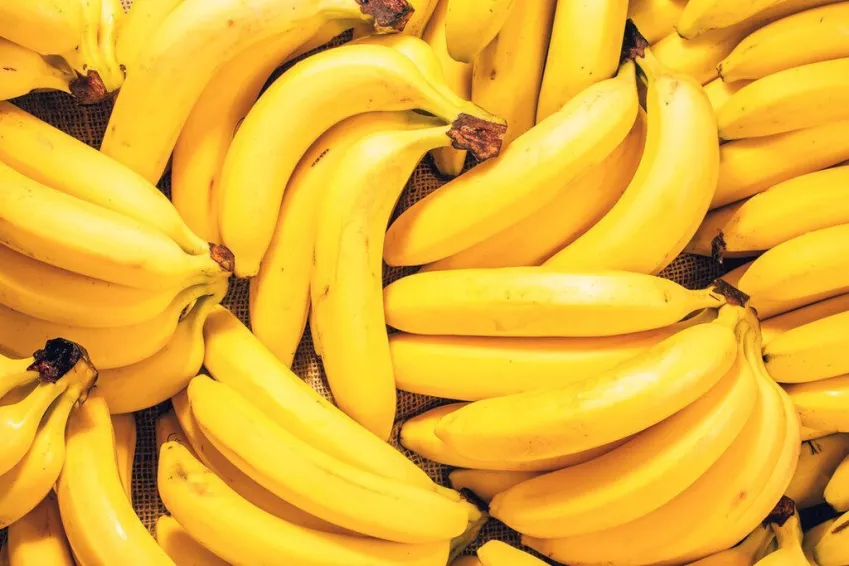Deputada Daniela Reinehr intensifica defesa dos produtores de banana