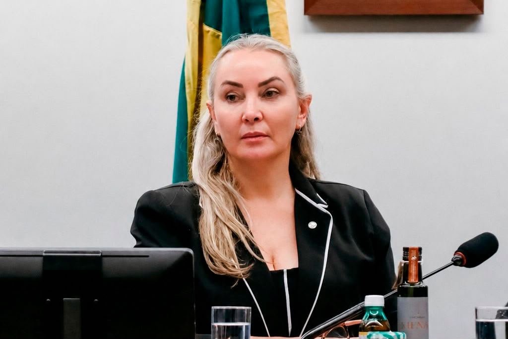 Presidente da Comissão de Turismo, Daniela Reinehr promove debate sobre regulamentação do balonismo e reforço da segurança no setor